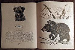 Книга. Л.Н. Толстой "Лев и собачка". 1981 год - фото 6