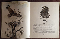 Книга. Л.Н. Толстой "Лев и собачка". 1981 год - фото 3