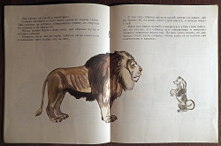 Книга. Л.Н. Толстой "Лев и собачка". 1981 год - фото 4