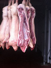 Предложение мяса и мясных продуктов в ассортименте  - фото 3