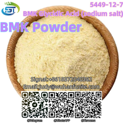 BMK Powder Liquid BMK Glycidic Acid (sodium salt) 5449-12-7 - фото 3