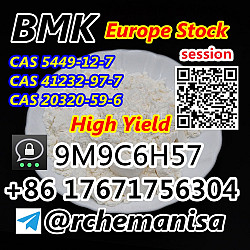 BMK Powder Liquid BMK Glycidic Acid (sodium salt) 5449-12-7 - фото 8