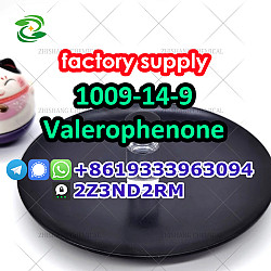 Valerophenone 1009-14-9 factory price door to door - фото 6