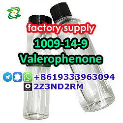 Valerophenone 1009-14-9 factory price door to door - фото 4