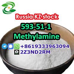KZ Kazakhstan methylamine hydrochloride 593-51-1 - фото 6