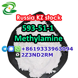 KZ Kazakhstan methylamine hydrochloride 593-51-1 - фото 4