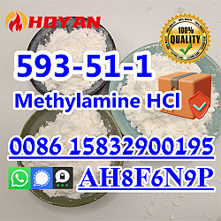 Methylamine Hydrochloride CAS 593-51-1 hot sell Kazakhstan - фото 3