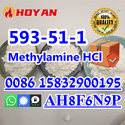 Methylamine Hydrochloride CAS 593-51-1 hot sell Kazakhstan - фото 4