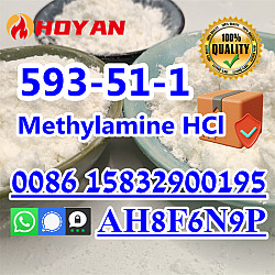 Methylamine Hydrochloride CAS 593-51-1 hot sell Kazakhstan