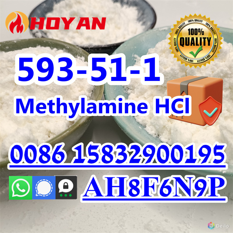 Methylamine Hydrochloride CAS 593-51-1 hot sell Kazakhstan