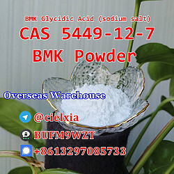 Cheap Price CAS 5449-12-7 New BMK Powder BMK Glycidic Acid - фото 6