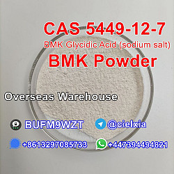 Cheap Price CAS 5449-12-7 New BMK Powder BMK Glycidic Acid - фото 3