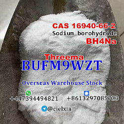 BH4Na Sodium borohydride CAS 16940-66-2 with Top Quality and