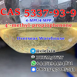 Wholesale Price 4'-methyl-propiophenone CAS 5337-93-9