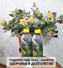 Олайф - Olife - экстракт листьев оливы, здоровье, долголетия
