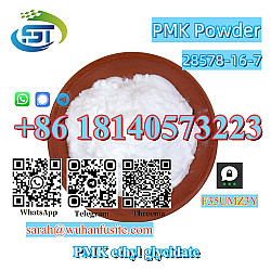 Overseas Warehouses PMK Powder CAS 28578-16-7