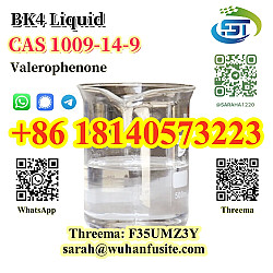 BK4 Liquid Valerophenone CAS 1009-14-9 with Best Price - фото 3