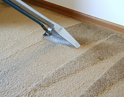 Химчистка ковровых покрытий на дому в Саратове - фото 5