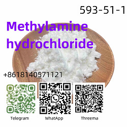 Завод поставляет метиламин гидрохлорид кас 593-51-1 с безопа