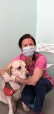 Ветеринарный врач офтальмолог на Каховке - фото 5