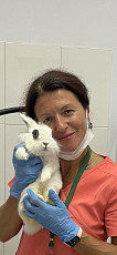 Ветеринарный врач офтальмолог на Каховке - фото 3