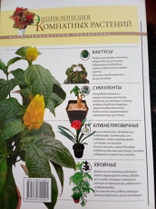 Энциклопедия комнатных растений - фото 3