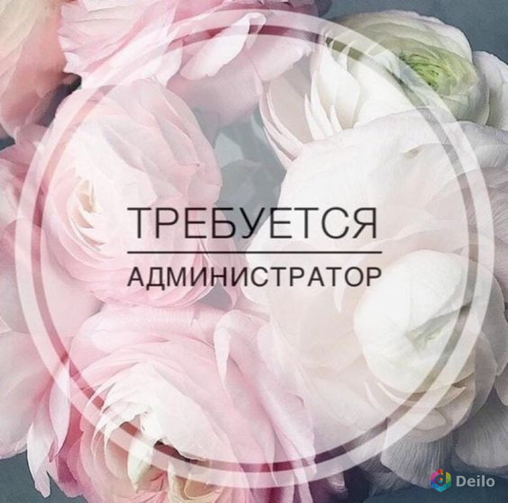 Требуется администратор смены