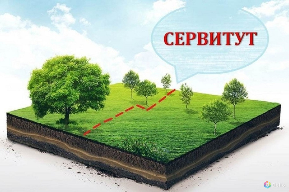 Услуги установления сервитута в Санкт-Петербурге
