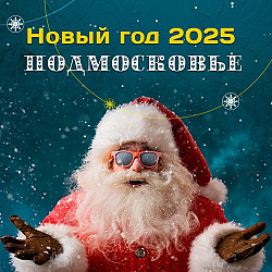 Новый год 2025 в Подмосковье