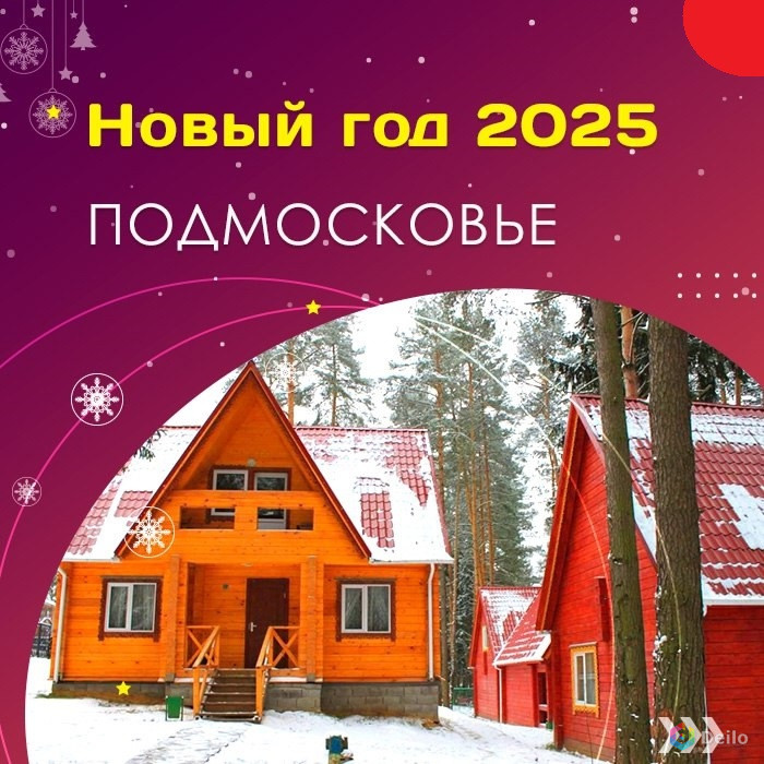 Новый год в Подмосковье 2025