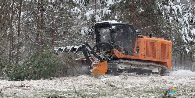 Услуги гусеничного с широкой гусянкой мульчера